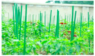 第31届华交会“创新奖”企业及获奖产品介绍——江苏交易团